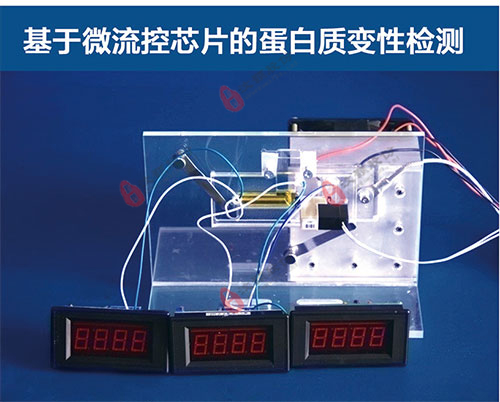 基于微流控芯片的蛋白質(zhì)變性檢測