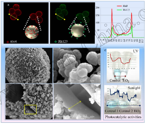 圖!二氧化鈦微球的形態和功能表征