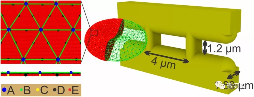 微流體系統幫助預測血管易堵塞程度