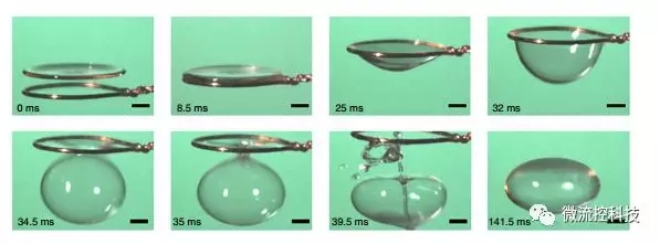 收縮成一個閉合的氣泡
