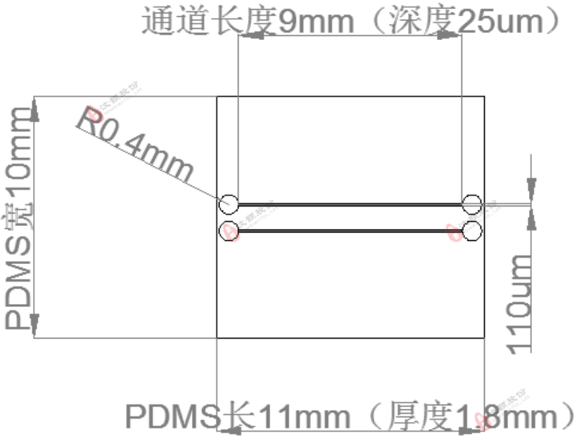 芯片通道結構示意圖