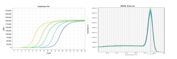 檢測反應體系中熒光的實時變化