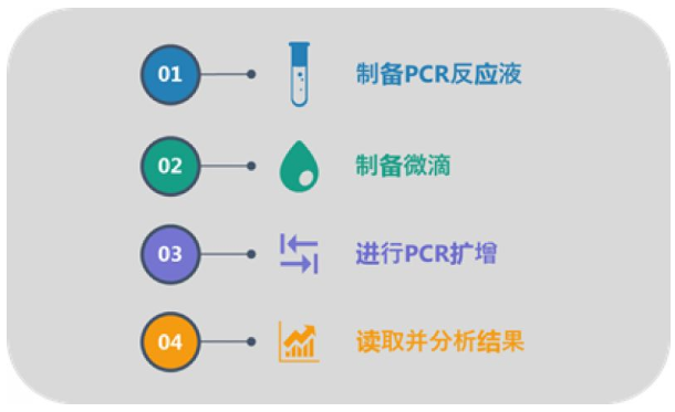 QX200 ddPCR的簡易操作流程