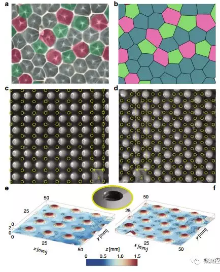 控制液滴，這些液滴在重力和表面張力等競爭影響下形成