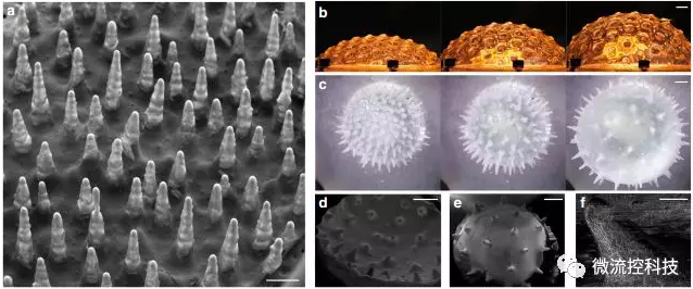 重量負荷或熱容量的物理閾值