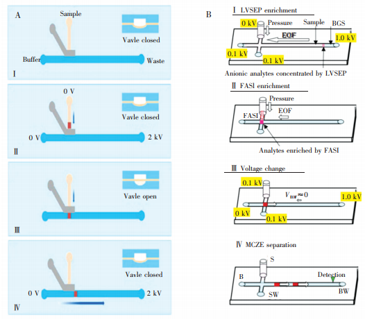 圖7兩種預濃縮方法。(A)采用氣動閥結構[63]和(B)采用LVSEP及FASI對樣品進行濃
