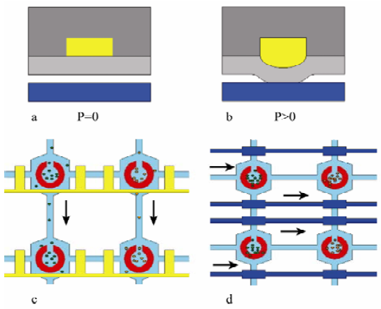 圖 3 微閥的結構圖和工作原理圖 