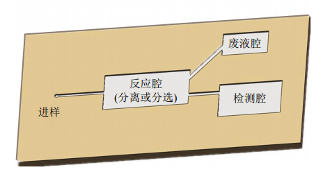 圖1微流控芯片結構示意圖