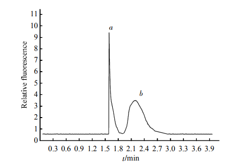 Fig.2EletropherogramoftheseparationofstandardHDLTheinjectionconcentrationofHDLwas80滋mol/L.Separationconditions:Samplebuffersolutioncontained0.2mmol/LSDS,40mmol/LTricine,50mmol/LMEGatpH8.5.Separationbuffersolutioncontained0.01mmol/LSDS,40mmol/LTricine,50mmol/LMEGatpH8.5,withEat450V/cm.