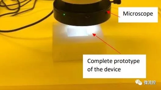 組裝后的微流控芯片的PDMS頂層和底層