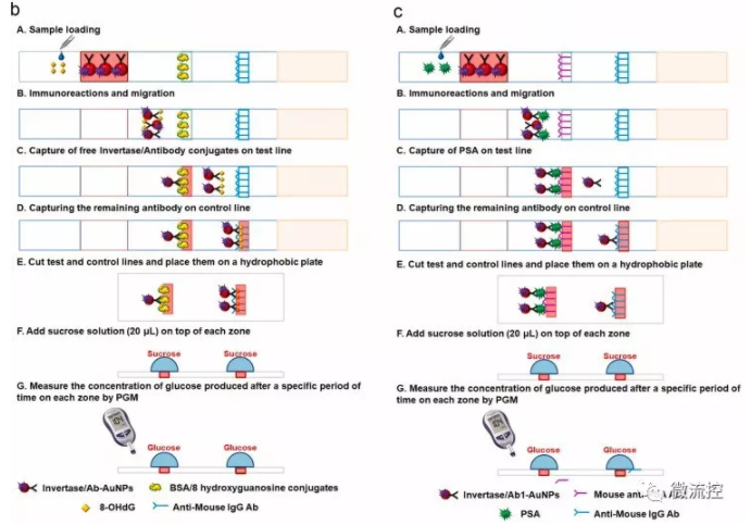 “微流控+智能手機(jī)血糖儀” 打造非血糖分子檢測(cè)平臺(tái)，量化評(píng)估DNA過氧化損傷