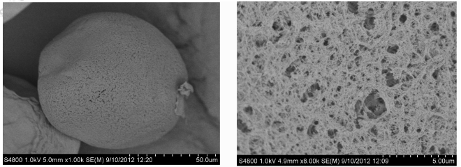 2%纖維素制備微球的電鏡分析照片