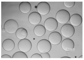 纖維素微液滴的顯微鏡照片