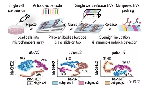 微流控芯片幫助實現單細胞外囊泡多指標檢測
