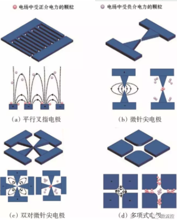 圖5 不同電極結構產生的非均勻電場中受正介電力和負介電力的粒子捕獲示意