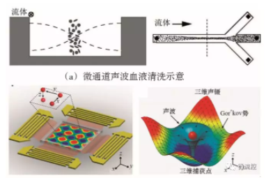 圖7 基于聲波技術的微流控芯片上的細胞操控