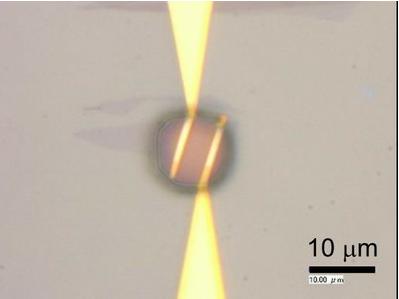 石墨烯和微流控技術用于細菌檢測