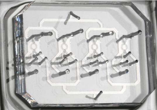 在微流控芯片上培養(yǎng)胚胎干細胞