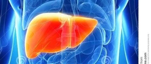 仿生微流控肝芯片研究進展