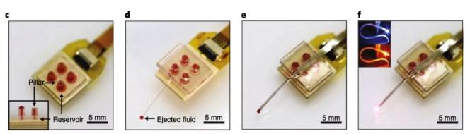 “無線光流控腦探頭”組裝圖像