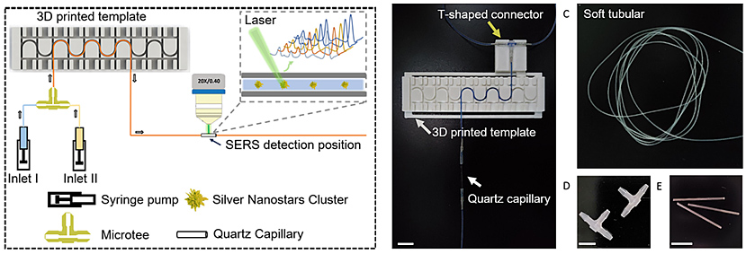 基于軟管微流控的動態流體SERS平臺用于無標記細胞檢測