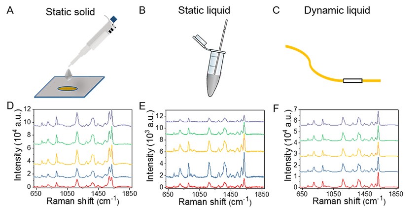 基于軟管微流控的動態流體SERS平臺用于無標記細胞檢測