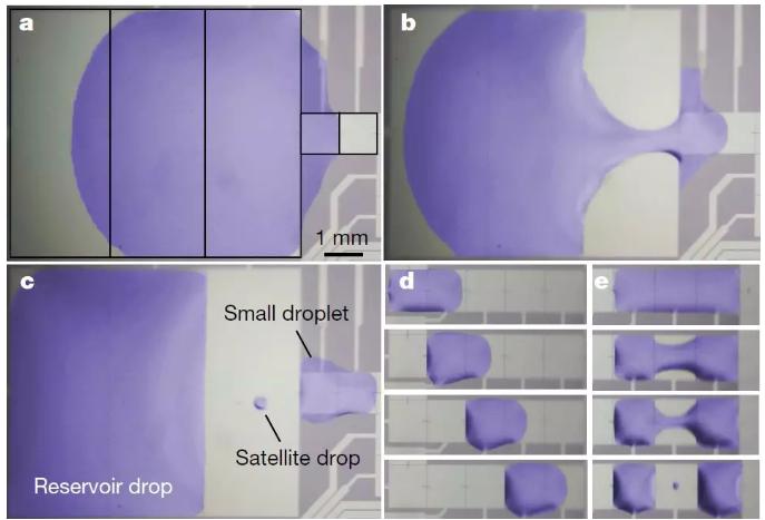 圖三：液滴在MEMS芯片的液流通道中產(chǎn)生、移動(dòng)和融合