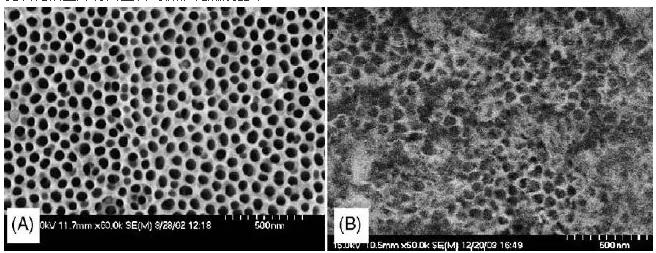 圖2. 陽極氧化微反應(yīng)器的表面形態(tài)：（A）未水熱處理，（B）水熱處理后