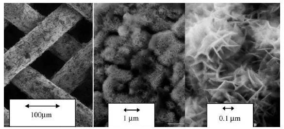 圖8. 具有Raney型外表面的不同放大倍數(shù)的鎳柵催化劑的SEM圖像