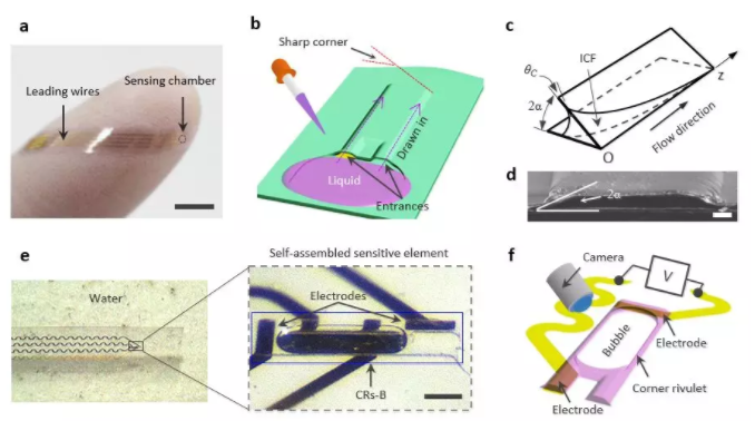圖1 基于內角流的微氣泡傳感器設計原理