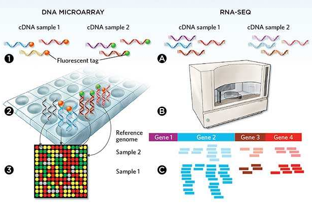 微流控自動化技術革新RNA-Seq文庫構建流程 --- FLUIDIGM發布更高效、更節約成本的Advanta RNA-Seq NGS 文庫構建解決方案