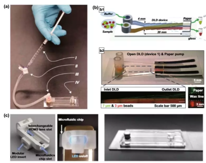 圖5 用于顆粒分離的DLD設置簡化。