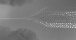 高流速下微凝膠形成“魚骨”圖案