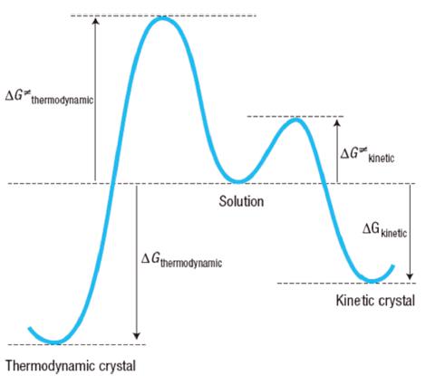 圖3 從溶液到熱力學和動力學晶體的假設轉變；Δg熱力學和Δg動力學之間的差異決定了動力學晶體的易形成性