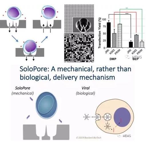 Basilard BioTech的SoloPore技術與病毒傳遞相比