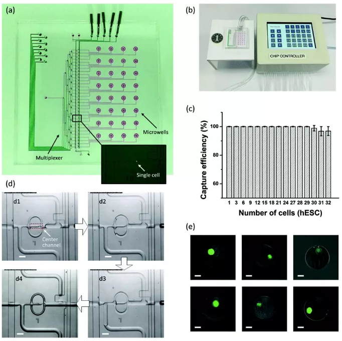 微流控單細胞測序新技術