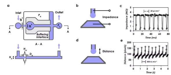 圖2 液滴數字式微流量測量機理以及兩種讀出機制