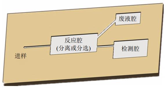 圖1微流控芯片結構示意圖
