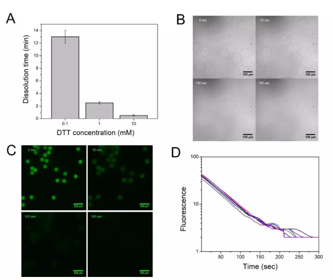 圖2. (A) 微球在不同DTT濃度下的降解時間，(B)在1 mM DTT存在下0, 60, 120,以及180 s時微球在顯微鏡下的狀態(tài)，(C)在1 mM DTT存在下0, 60, 120,以及180 s時標(biāo)記上熒光后的微球的熒光圖像，(D)隨機選擇8個微球的熒光強度在降解過程中隨時間的變化情況