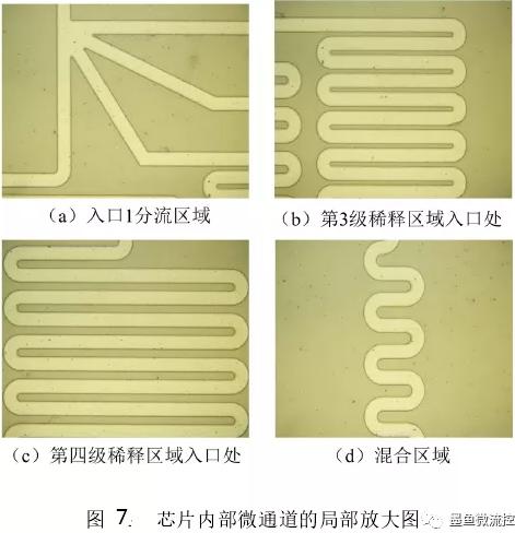PDMS芯片內(nèi)部通道局部放大圖