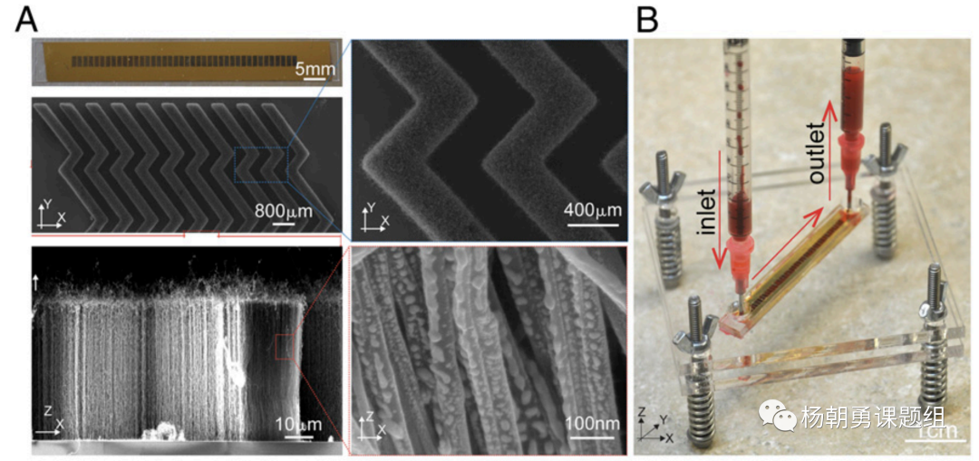 圖1 VIRRION平臺內(nèi)部具有精準可控的碳納米管陣列結(jié)構(gòu)，用于通過尺寸捕獲樣品中的病毒。毫米級的芯片通道可以保證在處理樣品時具有足夠的通量