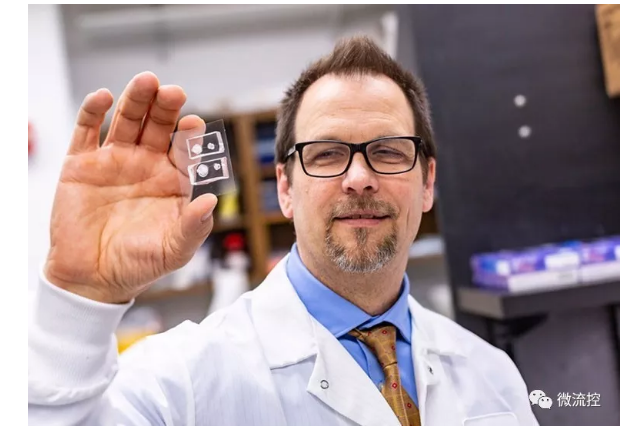 德克薩斯大學達拉斯分校的生物工程師與德克薩斯大學西南醫學中心的合作者能夠創建角膜組織模型，并利用它們來研究受損眼睛是如何愈合的。