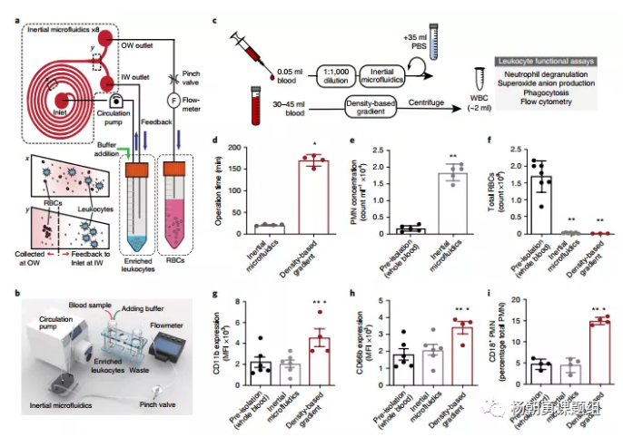 圖1 慣性微流控系統用于分離全血中的白細胞原理圖，及其與密度梯度離心法分離效果的對比