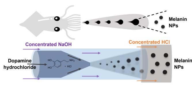 微流體技術高效可控制備類黑色素納米材料