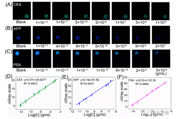 圖2 檢測區1(A)、2(B)和3(C)號在不同濃度的CEA、AFP和PSA存在時的堆疊圖片。CEA (D)、AFP (E)、PSA(F)為視頻檢測模式的代表性校準曲線