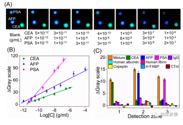 圖3 (A)檢測不同濃度CEA、AFP和PSA時的照片。(B)采用照片檢測模式進行CEA、AFP和PSA檢測的典型校準曲線。(C) CL免疫測定的干擾研究，分別設置十個干擾組。