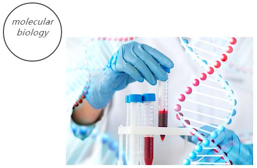 微流控分子生物學(xué)