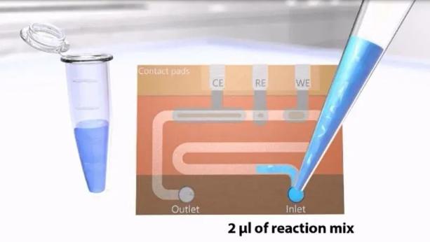 DNA聚合酶鏈反應(yīng)