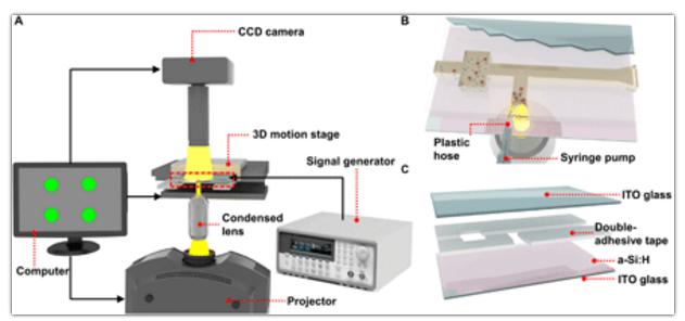 OEK系統的示意圖