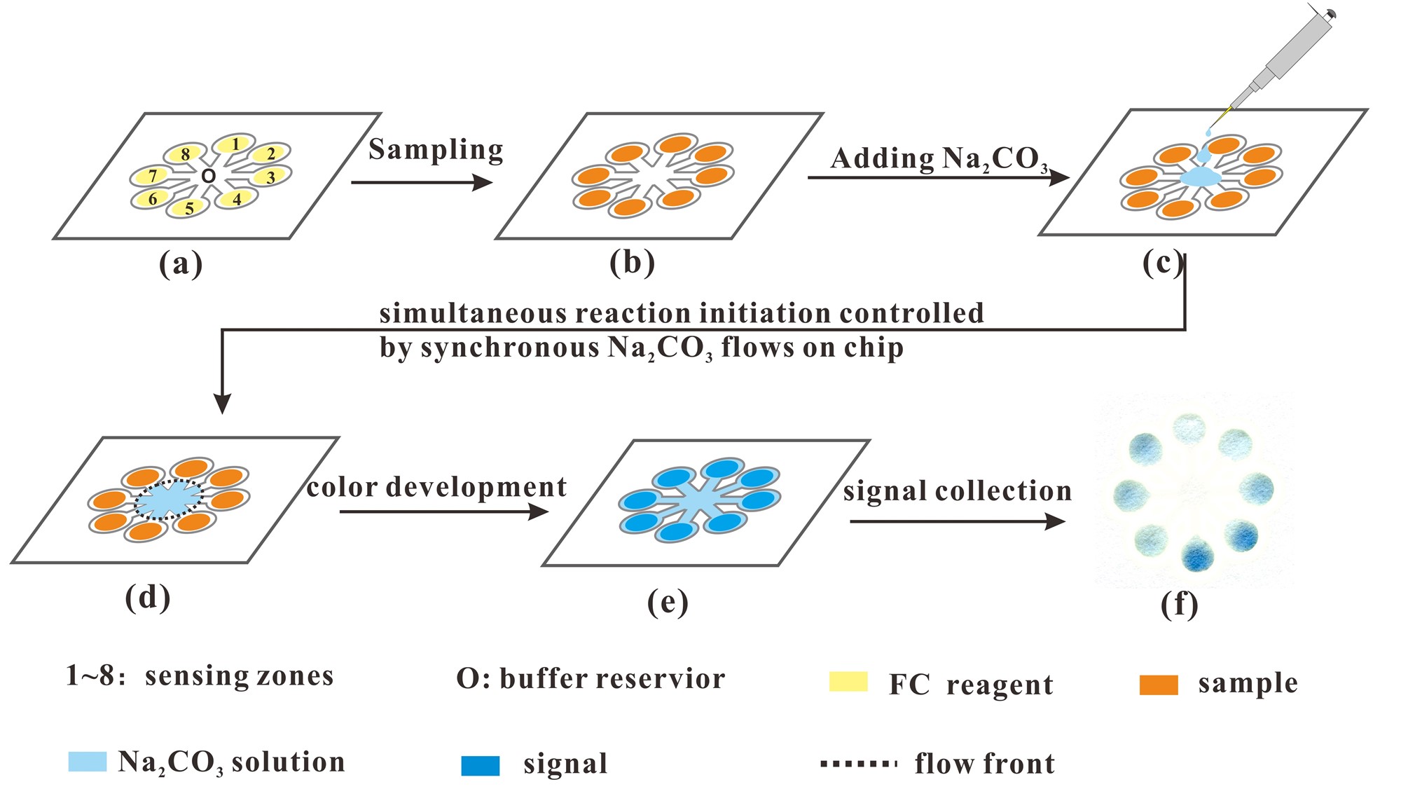 微流控紙芯片技術 10分鐘可測出茶多酚含量